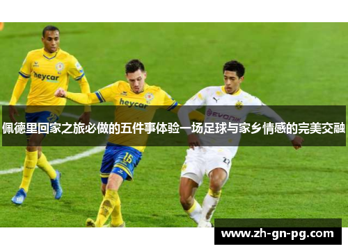 佩德里回家之旅必做的五件事体验一场足球与家乡情感的完美交融 佩德里回家之旅必做的五件事体验一场足球与家乡情感的完美交融