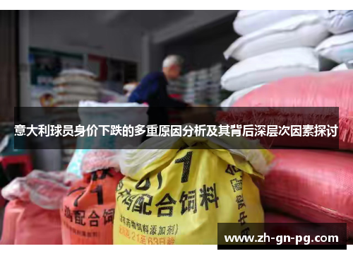 意大利球员身价下跌的多重原因分析及其背后深层次因素探讨