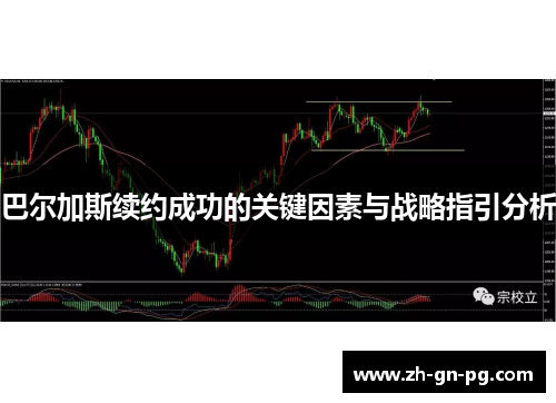 巴尔加斯续约成功的关键因素与战略指引分析