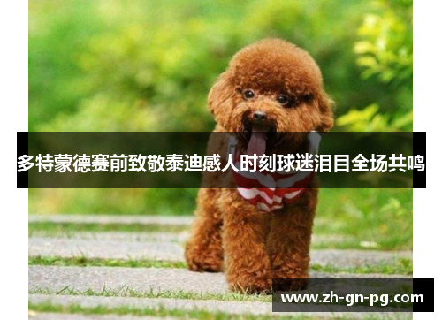 多特蒙德赛前致敬泰迪感人时刻球迷泪目全场共鸣 多特蒙德赛前致敬泰迪感人时刻球迷泪目全场共鸣