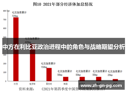 中方在利比亚政治进程中的角色与战略期望分析