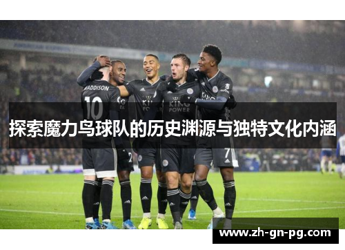 探索魔力鸟球队的历史渊源与独特文化内涵