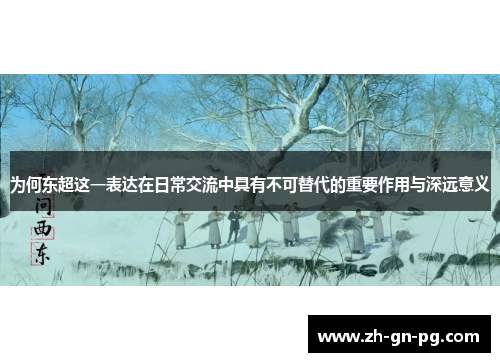 为何东超这一表达在日常交流中具有不可替代的重要作用与深远意义