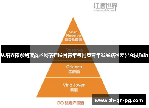 从培养体系到技战术风格看埃因青年与阿贾青年发展路径差异深度解析