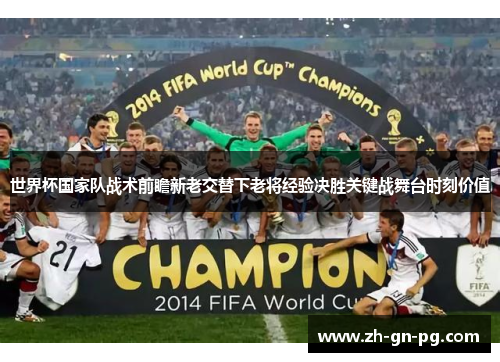 世界杯国家队战术前瞻新老交替下老将经验决胜关键战舞台时刻价值 世界杯国家队战术前瞻新老交替下老将经验决胜关键战舞台时刻价值